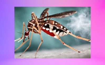 Cuidados com a dengue na terceira idade